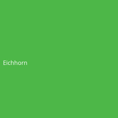 Eichhorn