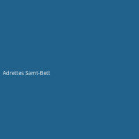 Adrettes Samt-Bett