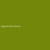 Elegante Eisen-Kanne