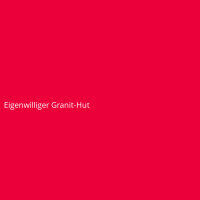 Eigenwilliger Granit-Hut